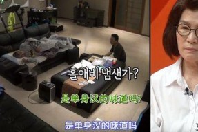 XXXHD国产,崛起中的科技与创新强国